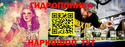 гидра Кингисепп