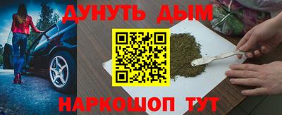 гидра Кингисепп