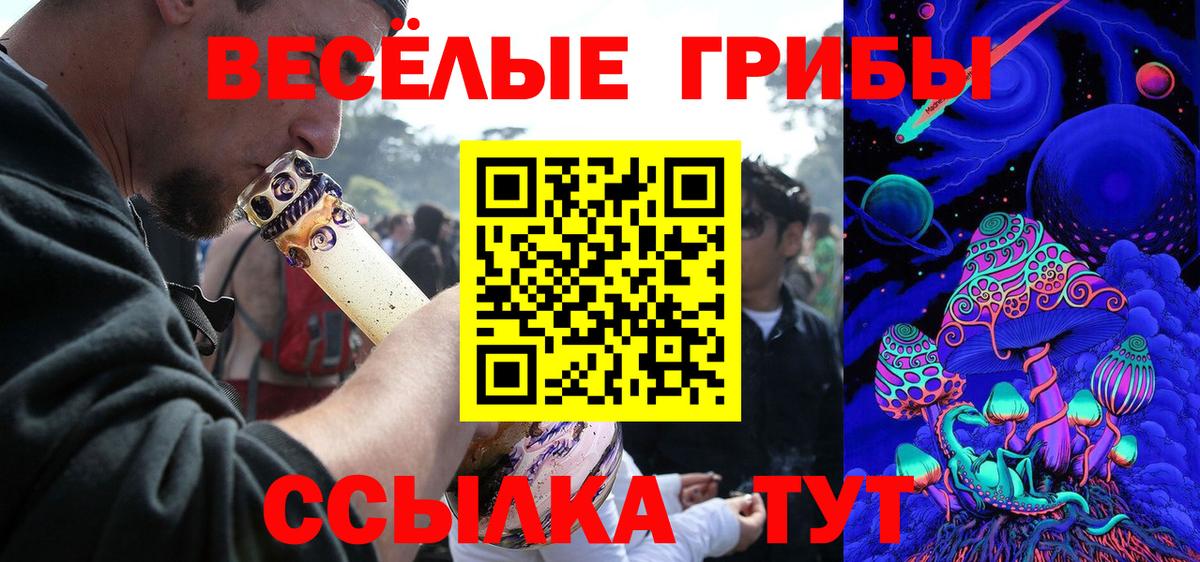 Галлюциногенные грибы Psilocybe  Вход с VPN  Джанкой 